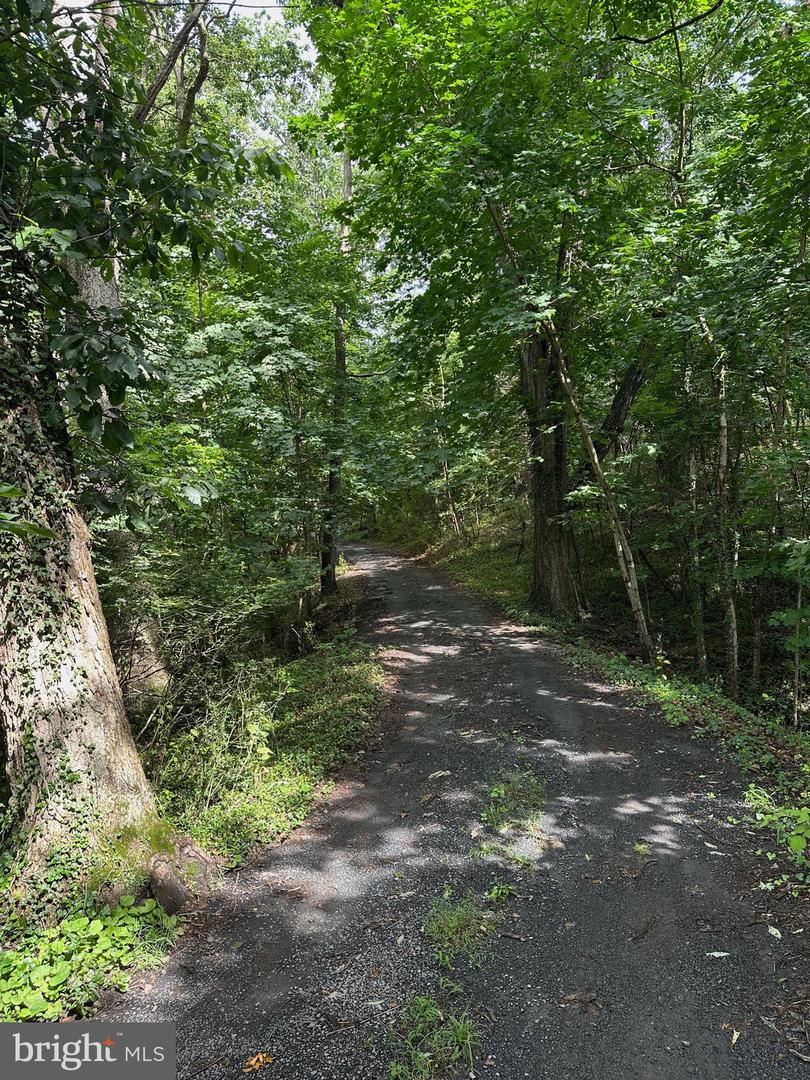 769 S WATER ST, WOODSTOCK, Virginia 22664, 4 Bedrooms Bedrooms, ,2 BathroomsBathrooms,Residential,For sale,769 S WATER ST,VASH2013334 MLS # VASH2013334