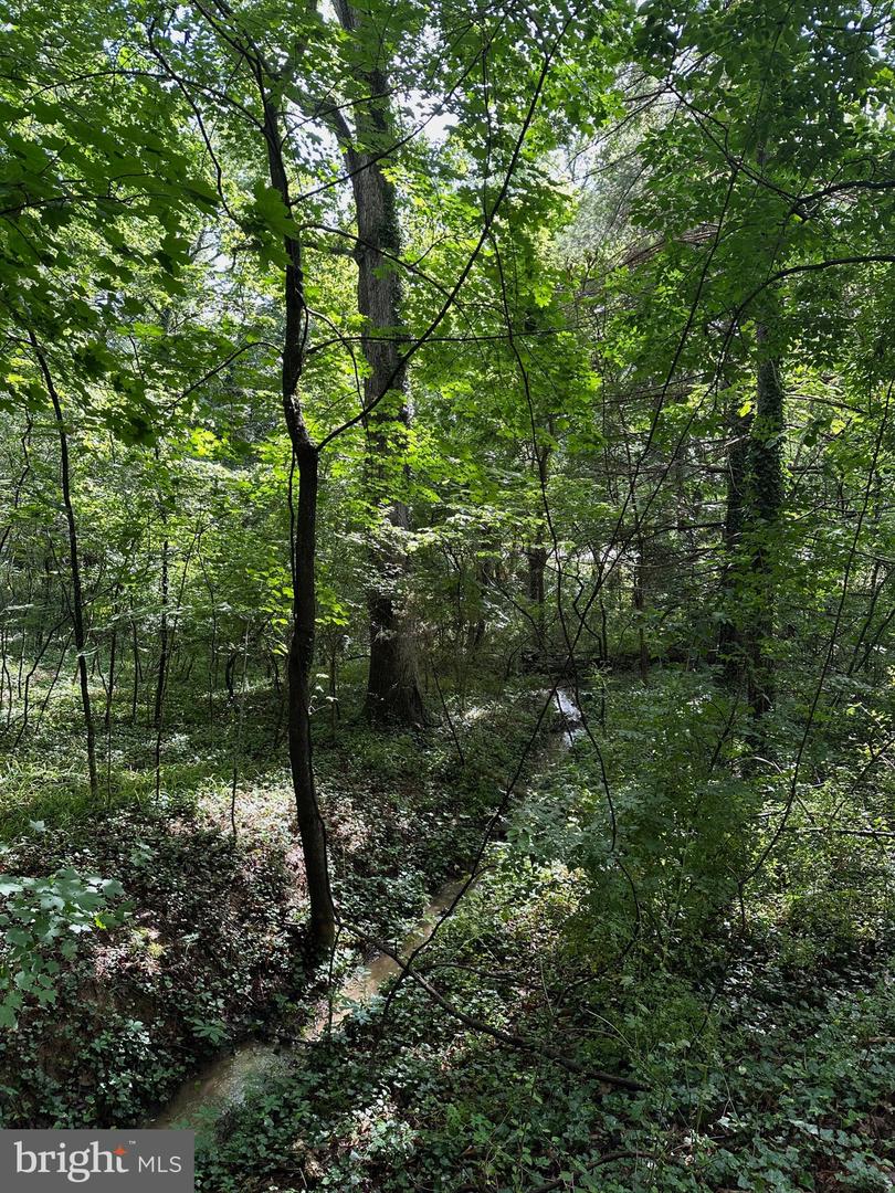 769 S WATER ST, WOODSTOCK, Virginia 22664, 4 Bedrooms Bedrooms, ,2 BathroomsBathrooms,Residential,For sale,769 S WATER ST,VASH2013334 MLS # VASH2013334