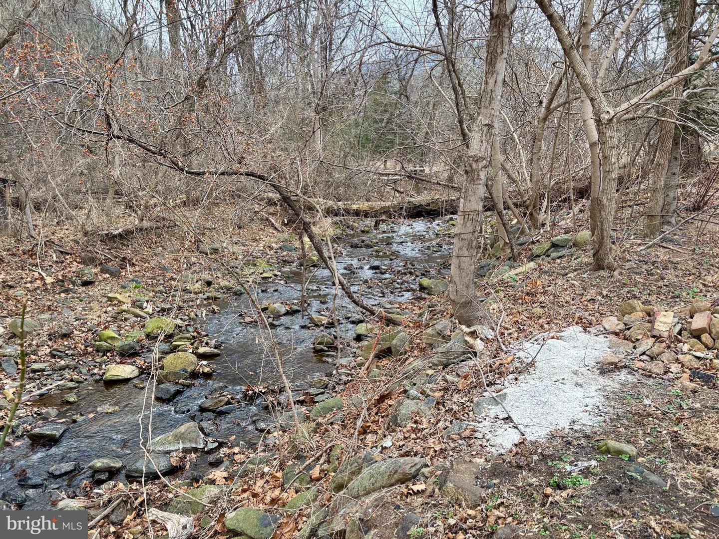 3485 & 3465 PINE GROVE RD, STANLEY, Virginia 22851, 1 Bedroom Bedrooms, ,1 BathroomBathrooms,Residential,For sale,3485 & 3465 PINE GROVE RD,VAPA2005864 MLS # VAPA2005864