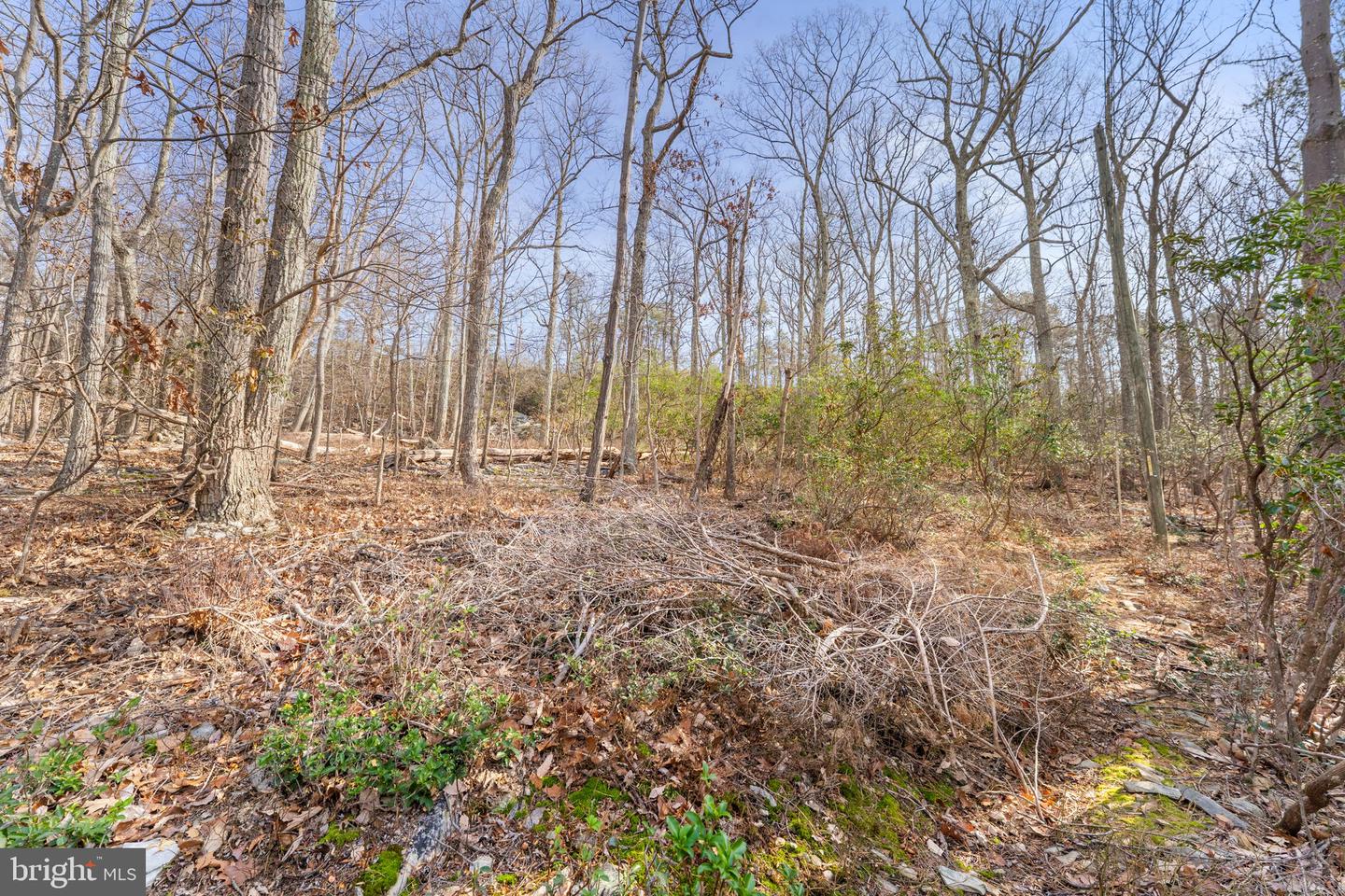 4119 BULL RUN MOUNTAIN RD, THE PLAINS, Virginia 20198, 3 Bedrooms Bedrooms, ,2 BathroomsBathrooms,Residential,For sale,4119 BULL RUN MOUNTAIN RD,VAFQ2019784 MLS # VAFQ2019784