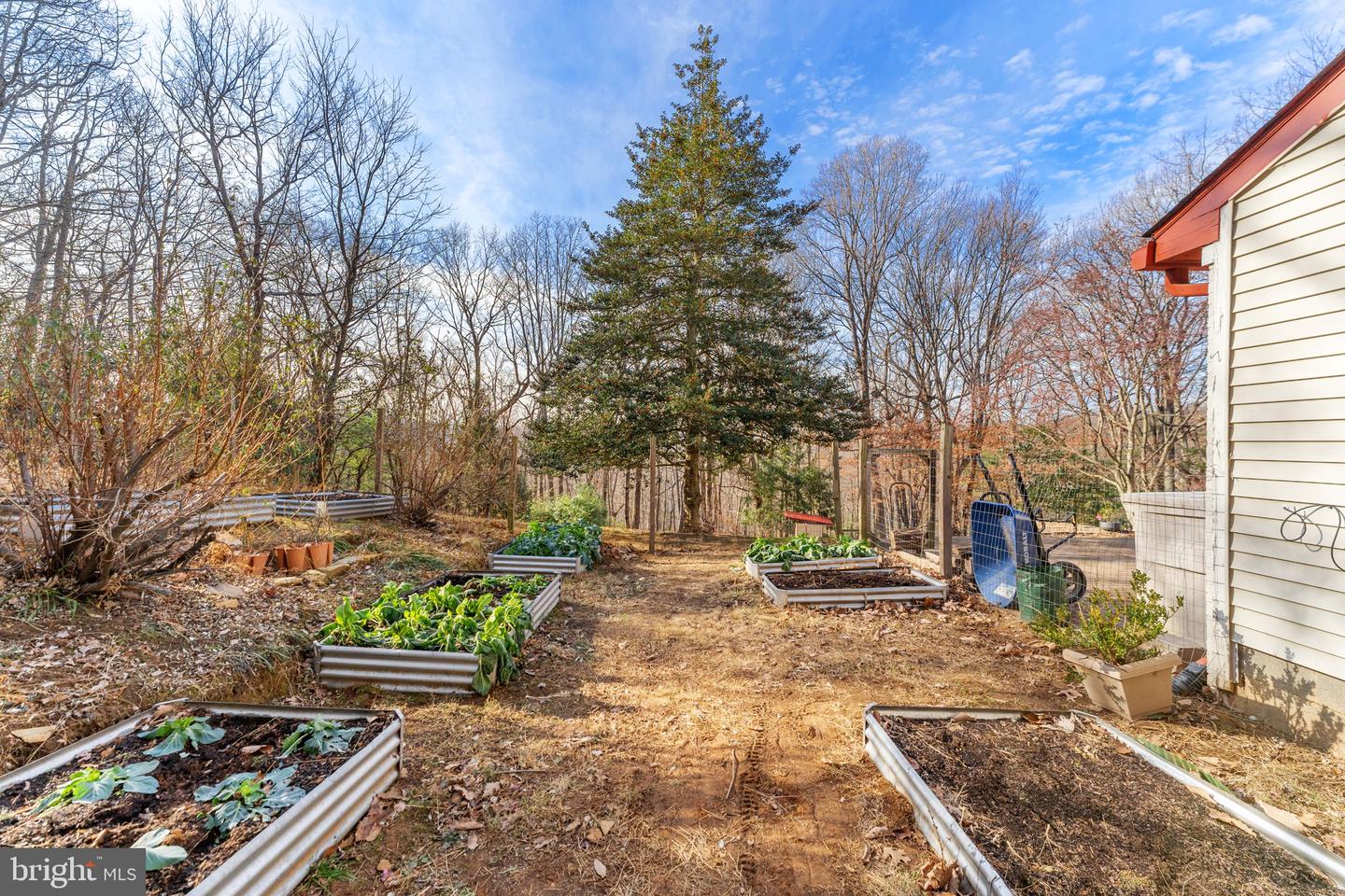 4119 BULL RUN MOUNTAIN RD, THE PLAINS, Virginia 20198, 3 Bedrooms Bedrooms, ,2 BathroomsBathrooms,Residential,For sale,4119 BULL RUN MOUNTAIN RD,VAFQ2019784 MLS # VAFQ2019784