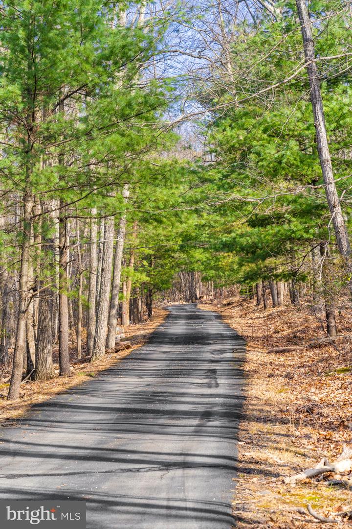 4119 BULL RUN MOUNTAIN RD, THE PLAINS, Virginia 20198, 3 Bedrooms Bedrooms, ,2 BathroomsBathrooms,Residential,For sale,4119 BULL RUN MOUNTAIN RD,VAFQ2019784 MLS # VAFQ2019784