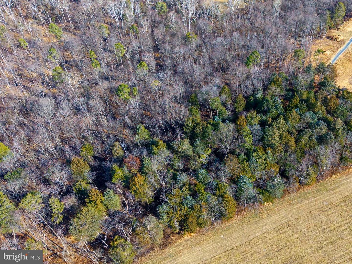 8 PROMISE LN, STANLEY, Virginia 22851, ,Land,For sale,8 PROMISE LN,VAPA2005838 MLS # VAPA2005838