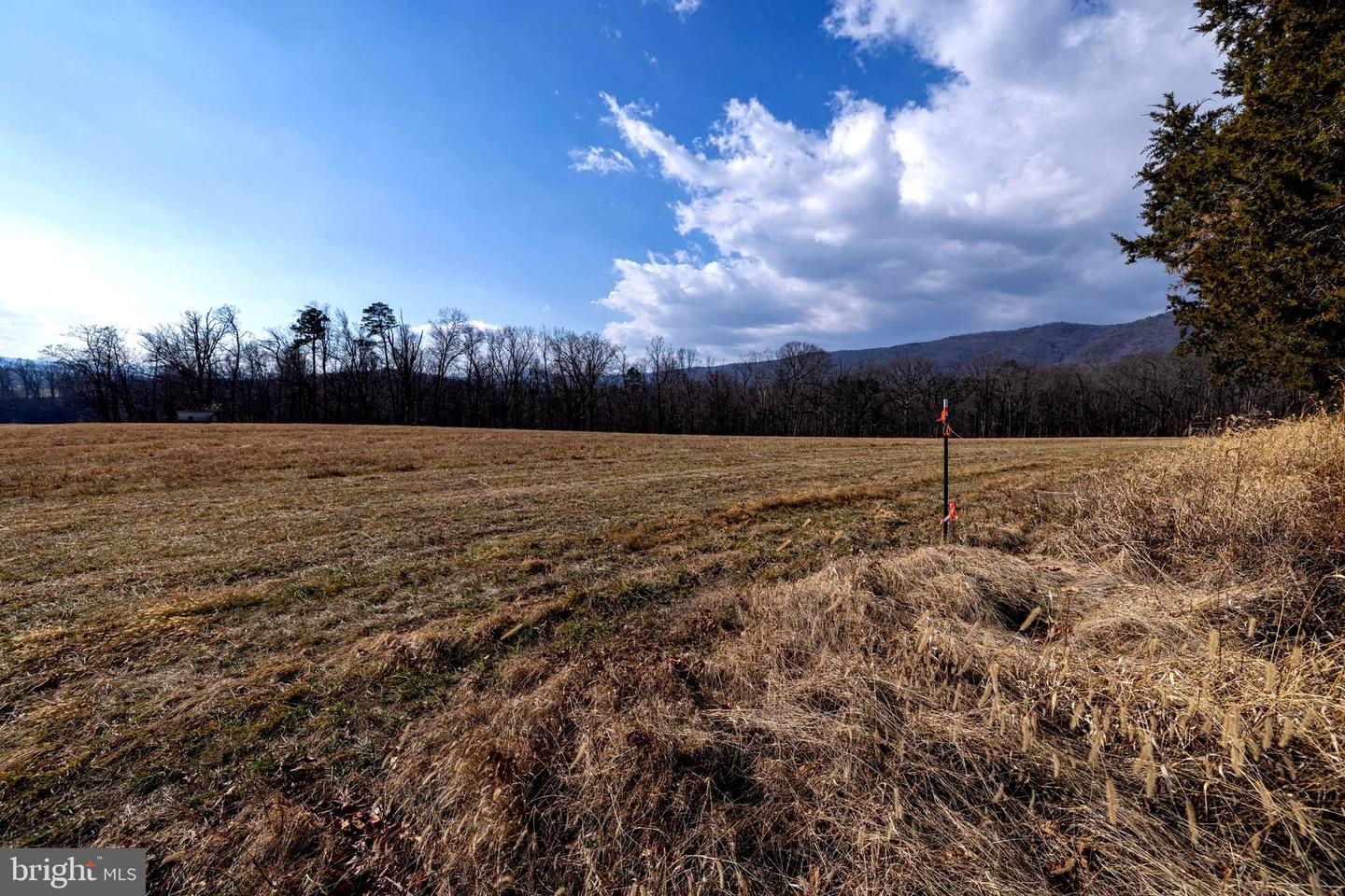 8 PROMISE LN, STANLEY, Virginia 22851, ,Land,For sale,8 PROMISE LN,VAPA2005838 MLS # VAPA2005838