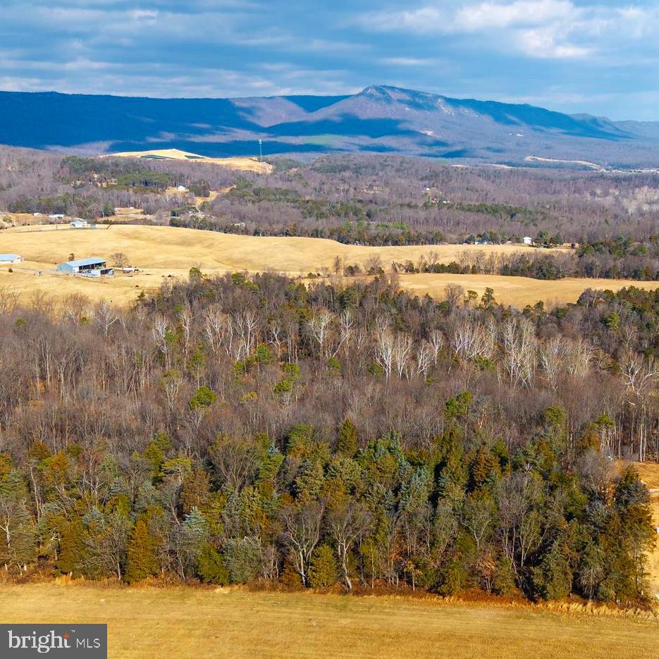 8 PROMISE LN, STANLEY, Virginia 22851, ,Land,For sale,8 PROMISE LN,VAPA2005838 MLS # VAPA2005838