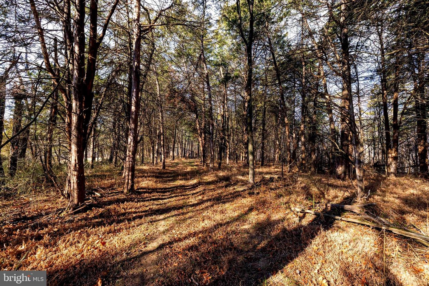 8 PROMISE LN, STANLEY, Virginia 22851, ,Land,For sale,8 PROMISE LN,VAPA2005838 MLS # VAPA2005838