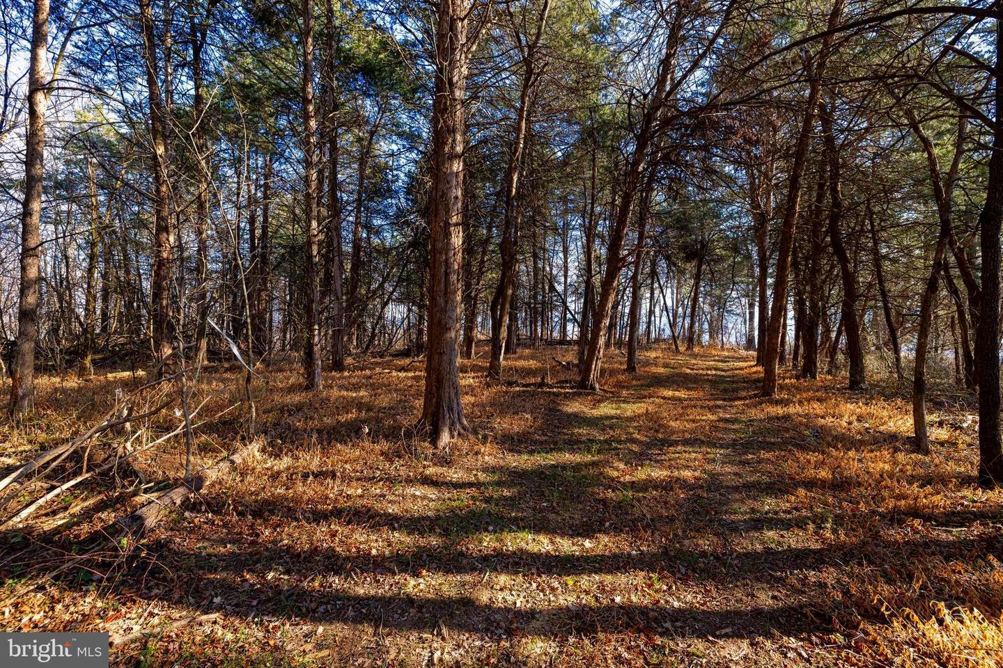 8 PROMISE LN, STANLEY, Virginia 22851, ,Land,For sale,8 PROMISE LN,VAPA2005838 MLS # VAPA2005838