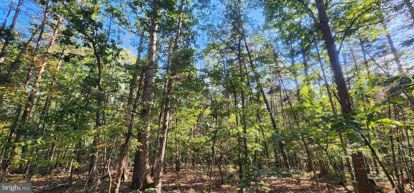 LOT 3 LEES CT, LOCUST GROVE, Virginia 22508, ,Land,For sale,LOT 3 LEES CT,VAOR2013086 MLS # VAOR2013086