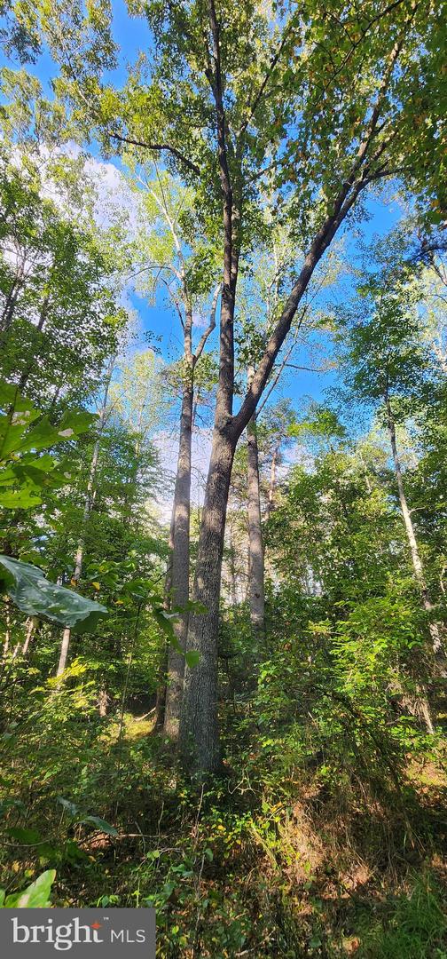 LOT 3 LEES CT, LOCUST GROVE, Virginia 22508, ,Land,For sale,LOT 3 LEES CT,VAOR2013086 MLS # VAOR2013086