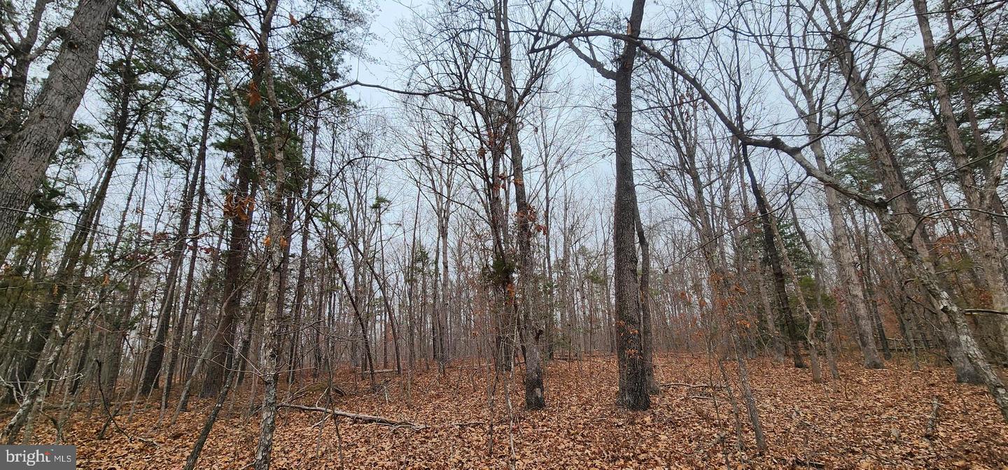 LOT 3 LEES CT, LOCUST GROVE, Virginia 22508, ,Land,For sale,LOT 3 LEES CT,VAOR2013086 MLS # VAOR2013086