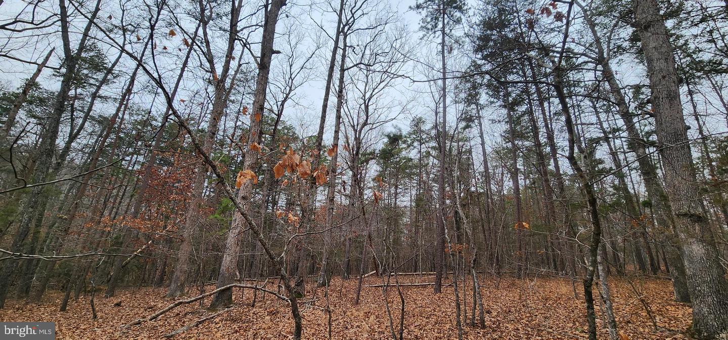 LOT 3 LEES CT, LOCUST GROVE, Virginia 22508, ,Land,For sale,LOT 3 LEES CT,VAOR2013086 MLS # VAOR2013086