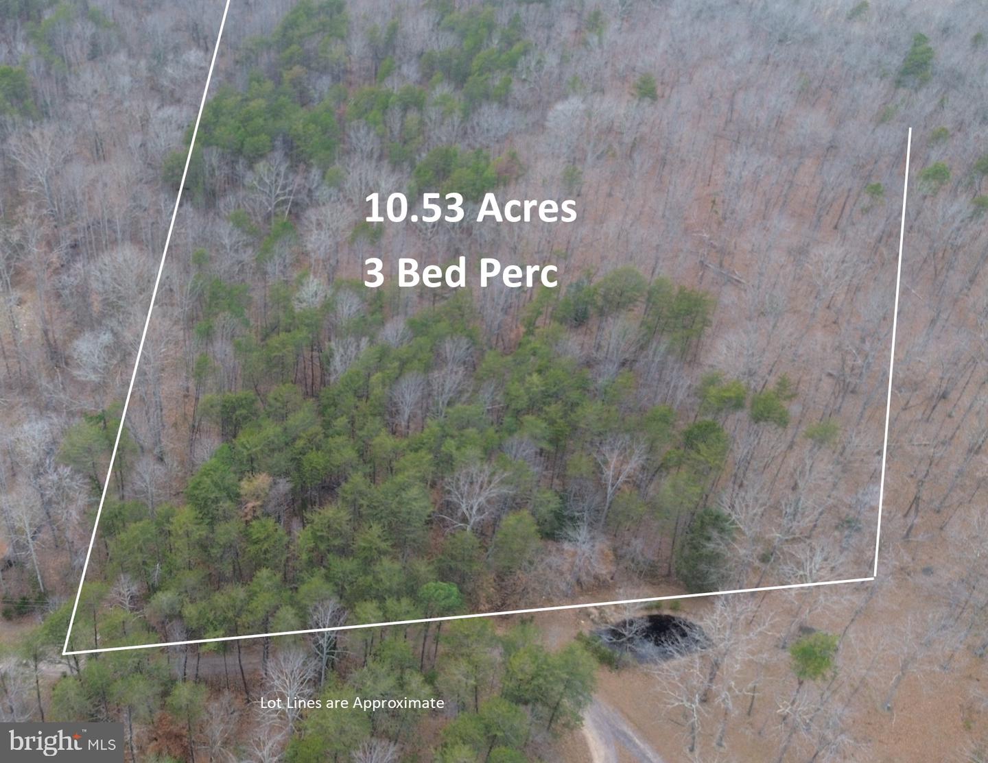 LOT 3 LEES CT, LOCUST GROVE, Virginia 22508, ,Land,For sale,LOT 3 LEES CT,VAOR2013086 MLS # VAOR2013086