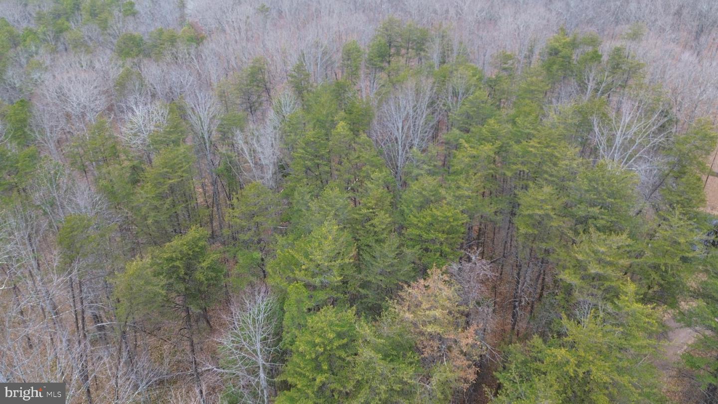 LOT 3 LEES CT, LOCUST GROVE, Virginia 22508, ,Land,For sale,LOT 3 LEES CT,VAOR2013086 MLS # VAOR2013086