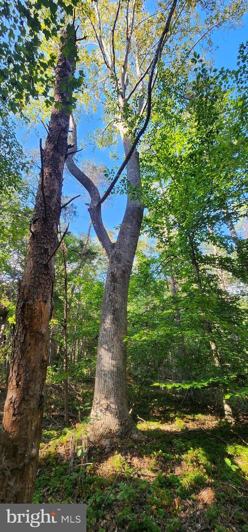LOT 3 LEES CT, LOCUST GROVE, Virginia 22508, ,Land,For sale,LOT 3 LEES CT,VAOR2013086 MLS # VAOR2013086