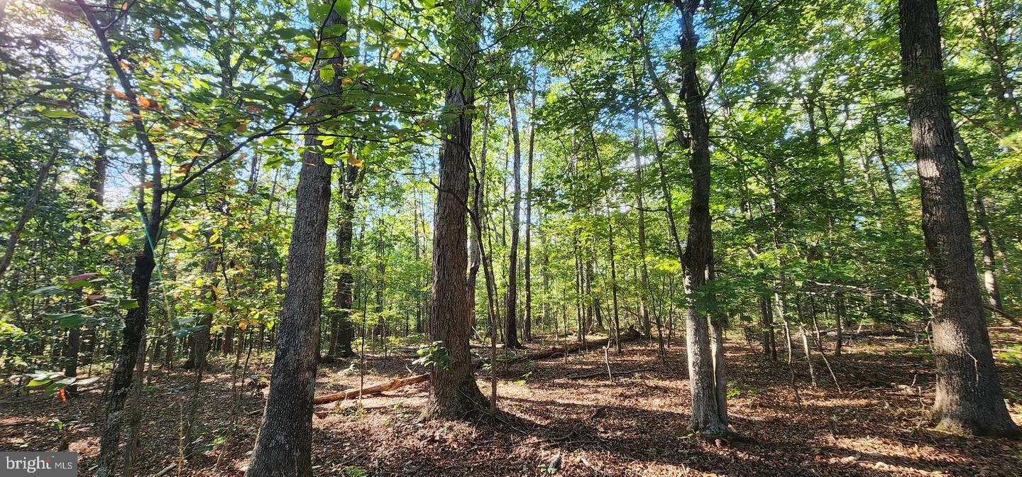 LOT 3 LEES CT, LOCUST GROVE, Virginia 22508, ,Land,For sale,LOT 3 LEES CT,VAOR2013086 MLS # VAOR2013086