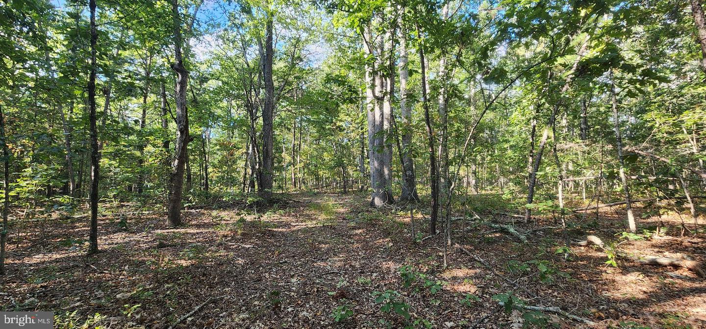 LOT 3 LEES CT, LOCUST GROVE, Virginia 22508, ,Land,For sale,LOT 3 LEES CT,VAOR2013086 MLS # VAOR2013086