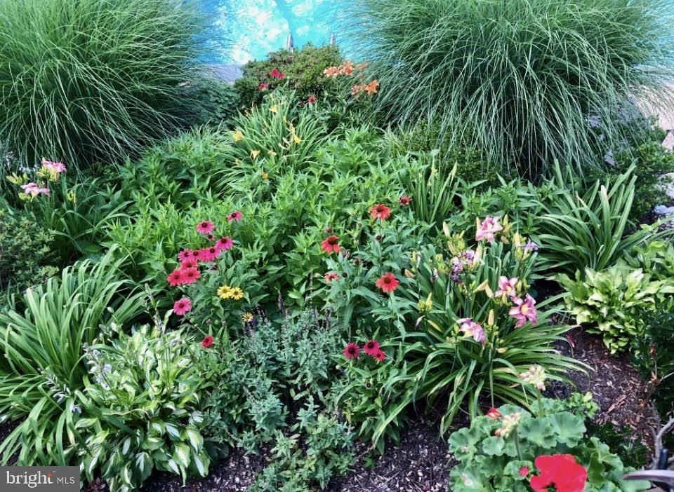 8106 KARL RD, ALEXANDRIA, Virginia 22308, 4 Bedrooms Bedrooms, ,2 BathroomsBathrooms,Residential,For sale,8106 KARL RD,VAFX2285190 MLS # VAFX2285190