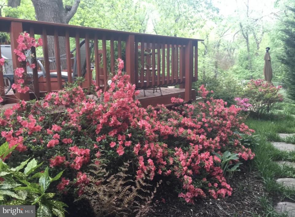 8106 KARL RD, ALEXANDRIA, Virginia 22308, 4 Bedrooms Bedrooms, ,2 BathroomsBathrooms,Residential,For sale,8106 KARL RD,VAFX2285190 MLS # VAFX2285190