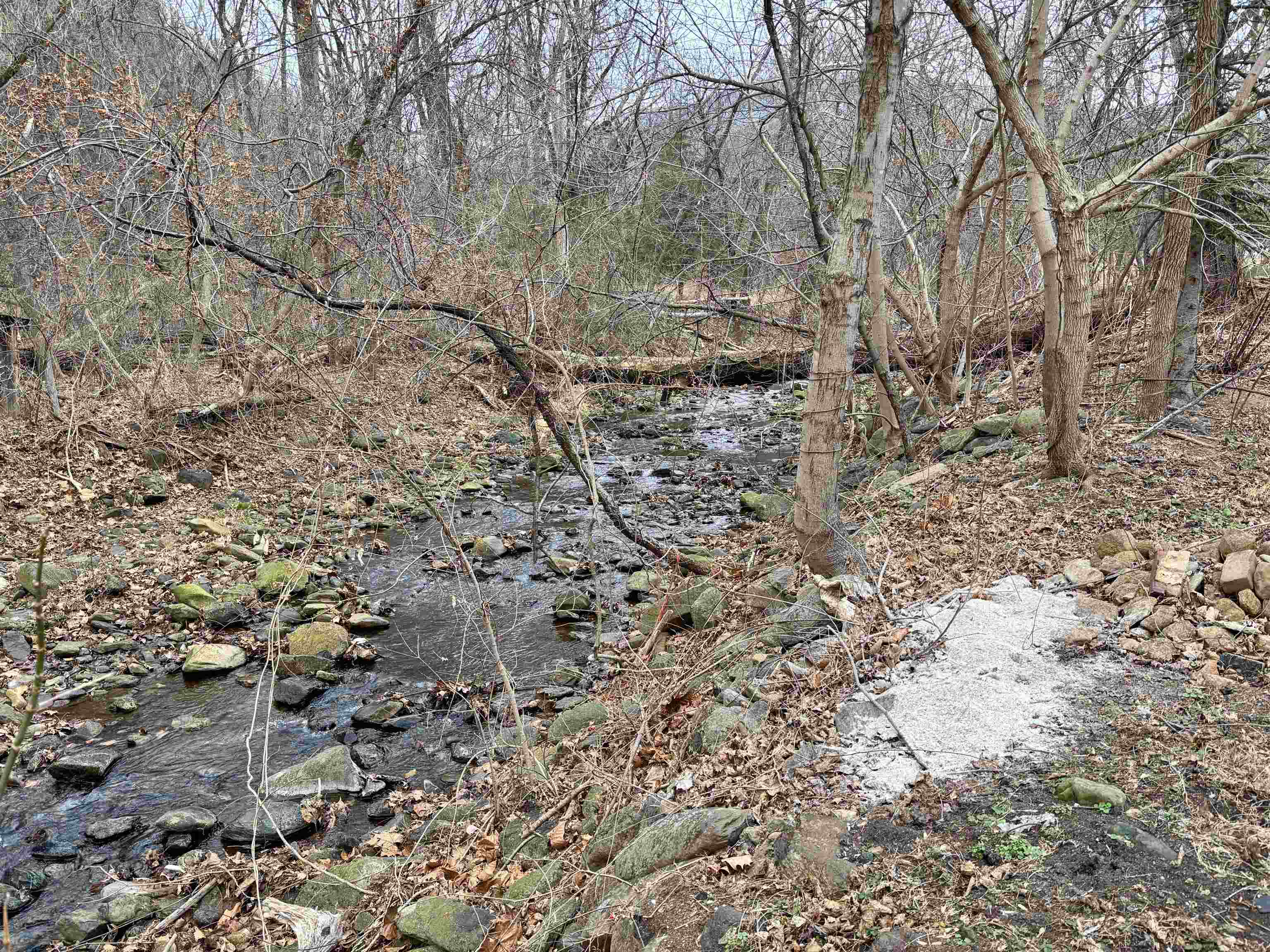 3485 & 3465 PINE GROVE RD, STANLEY, Virginia 22851, 1 Bedroom Bedrooms, ,1 BathroomBathrooms,Residential,3485 & 3465 PINE GROVE RD,672375 MLS # 672375