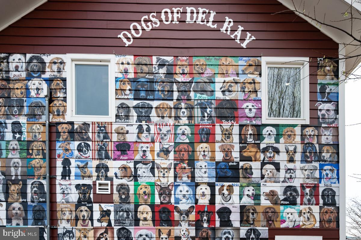 216 DUNCAN AVE, ALEXANDRIA, Virginia 22301, 3 Bedrooms Bedrooms, ,2 BathroomsBathrooms,Residential,For sale,216 DUNCAN AVE,VAAX2038774 MLS # VAAX2038774