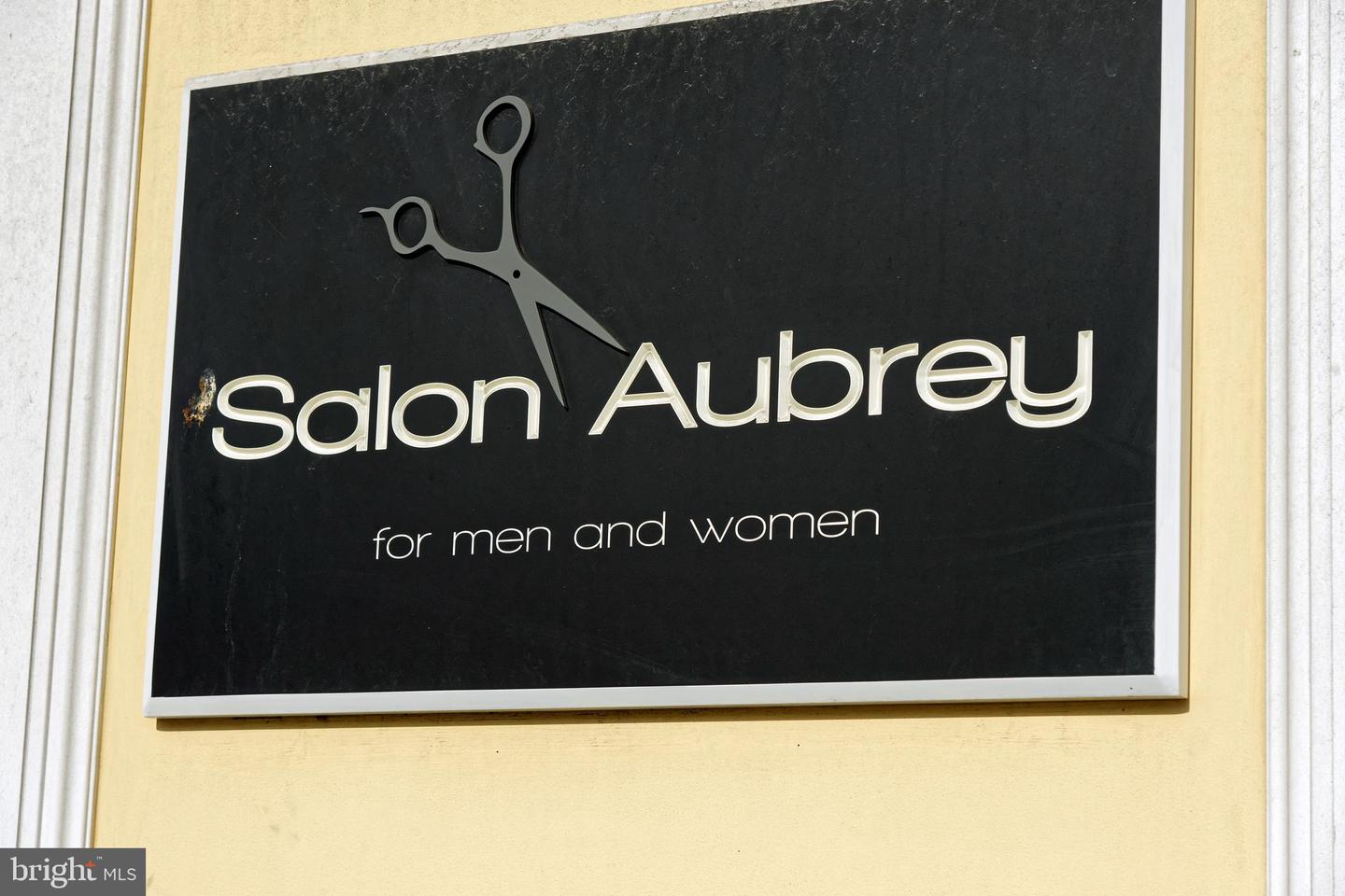 6 S PENDLETON ST, MIDDLEBURG, Virginia 20117, ,Land,For sale,6 S PENDLETON ST,VALO2112588 MLS # VALO2112588