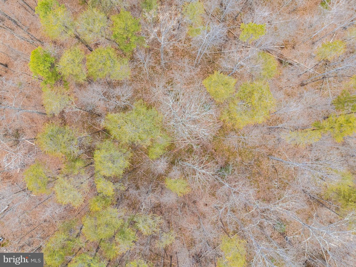 MOUNTAIN TRACK RD, ORANGE, Virginia 22960, ,Land,For sale,MOUNTAIN TRACK RD,VAOR2013068 MLS # VAOR2013068