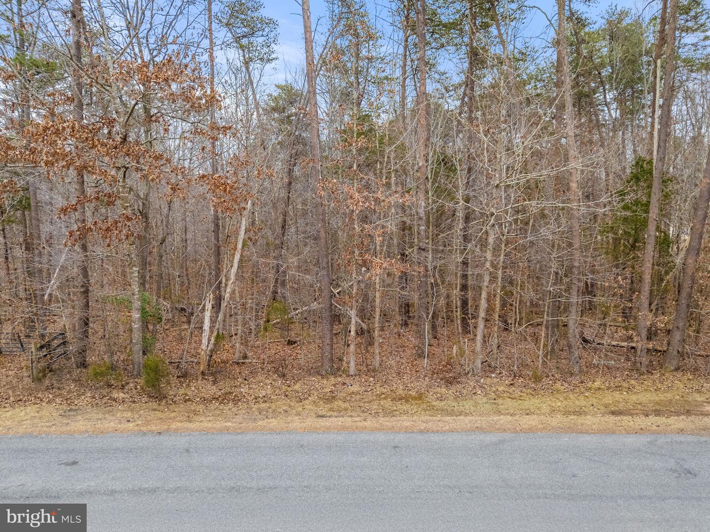 MOUNTAIN TRACK RD, ORANGE, Virginia 22960, ,Land,For sale,MOUNTAIN TRACK RD,VAOR2013068 MLS # VAOR2013068