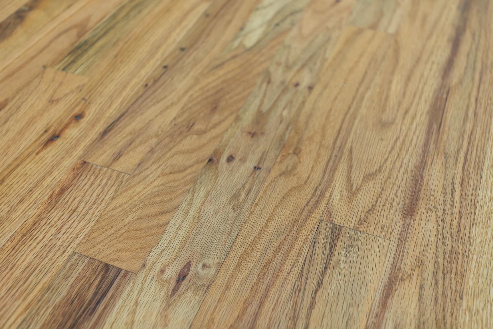 130 MILLVIEW DR, BRIDGEWATER, Virginia 22812, 4 Bedrooms Bedrooms, ,2 BathroomsBathrooms,Residential,130 MILLVIEW DR,672387 MLS # 672387