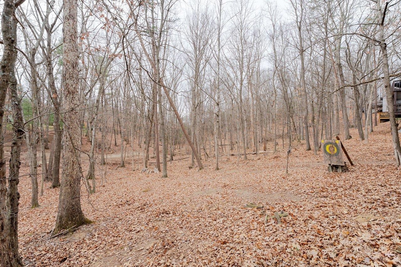 2760 LANIER LN, MCGAHEYSVILLE, Virginia 22846, 3 Bedrooms Bedrooms, ,3 BathroomsBathrooms,Residential,2760 LANIER LN,672388 MLS # 672388