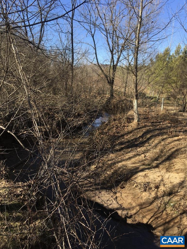 0 BATESVILLE RD, AFTON, Virginia 22920, ,Farm,For sale,0 BATESVILLE RD,672412 MLS # 672412 0 BATESVILLE RD, AFTON, Virginia 22920, ,Farm,For sale,0 BATESVILLE RD,672412 MLS # 672412