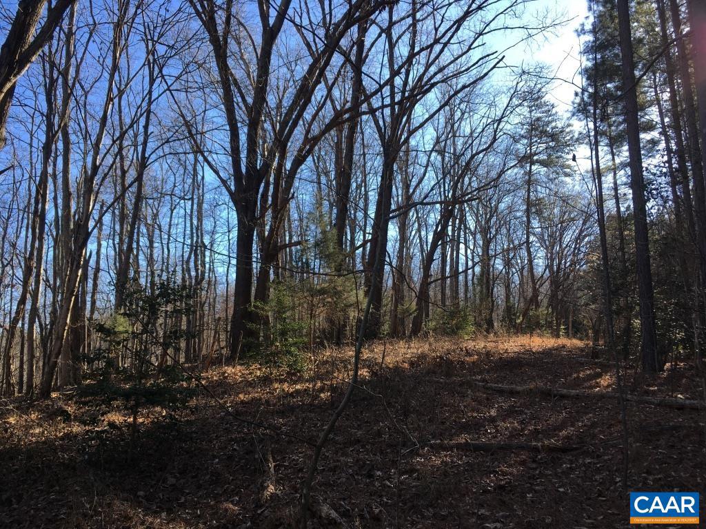 0 BATESVILLE RD, AFTON, Virginia 22920, ,Farm,For sale,0 BATESVILLE RD,672412 MLS # 672412 0 BATESVILLE RD, AFTON, Virginia 22920, ,Farm,For sale,0 BATESVILLE RD,672412 MLS # 672412