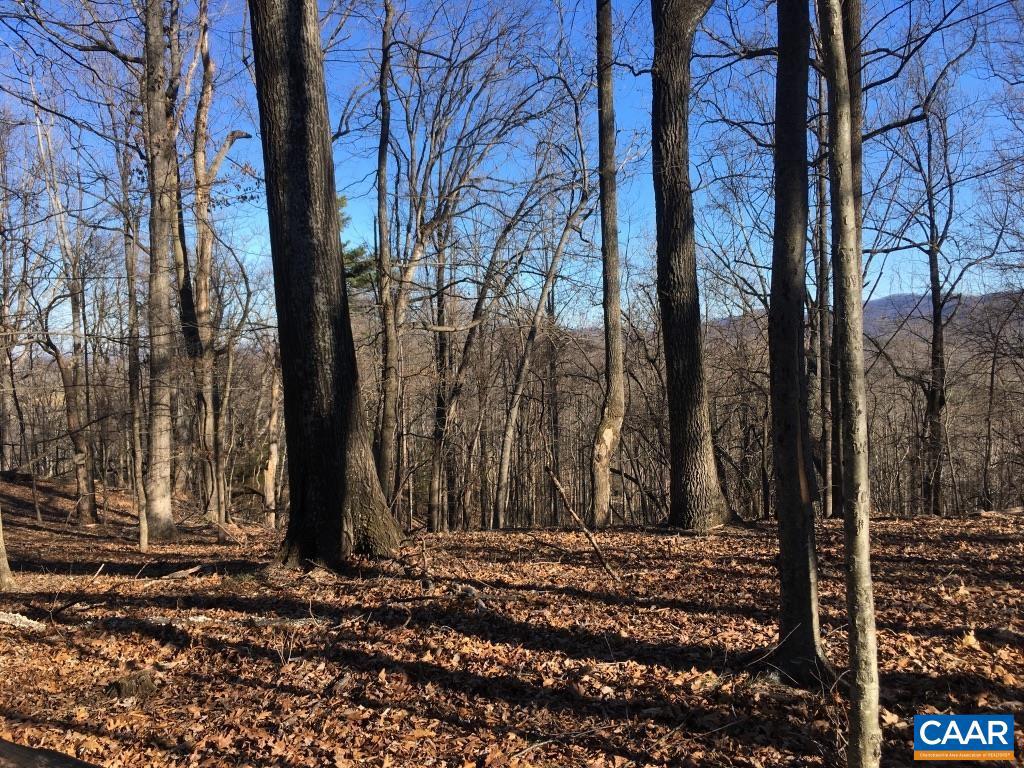 0 BATESVILLE RD, AFTON, Virginia 22920, ,Farm,For sale,0 BATESVILLE RD,672412 MLS # 672412 0 BATESVILLE RD, AFTON, Virginia 22920, ,Farm,For sale,0 BATESVILLE RD,672412 MLS # 672412