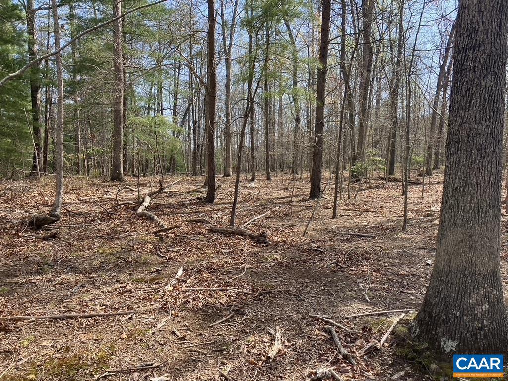 0 BATESVILLE RD, AFTON, Virginia 22920, ,Farm,For sale,0 BATESVILLE RD,672412 MLS # 672412 0 BATESVILLE RD, AFTON, Virginia 22920, ,Farm,For sale,0 BATESVILLE RD,672412 MLS # 672412