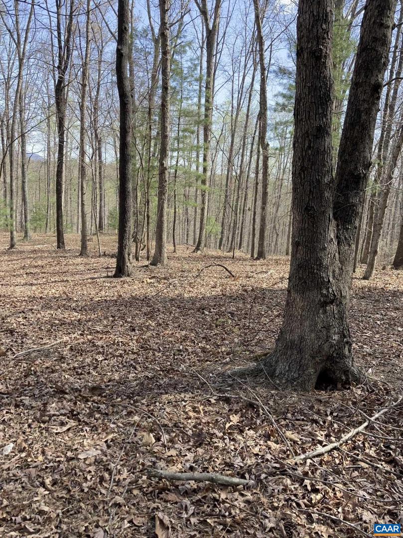 0 BATESVILLE RD, AFTON, Virginia 22920, ,Farm,For sale,0 BATESVILLE RD,672412 MLS # 672412 0 BATESVILLE RD, AFTON, Virginia 22920, ,Farm,For sale,0 BATESVILLE RD,672412 MLS # 672412