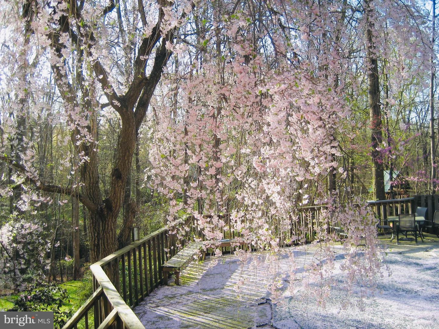 2201 NOBEHAR, VIENNA, Virginia 22181, 5 Bedrooms Bedrooms, ,3 BathroomsBathrooms,Residential,For sale,2201 NOBEHAR,VAFX2278508 MLS # VAFX2278508