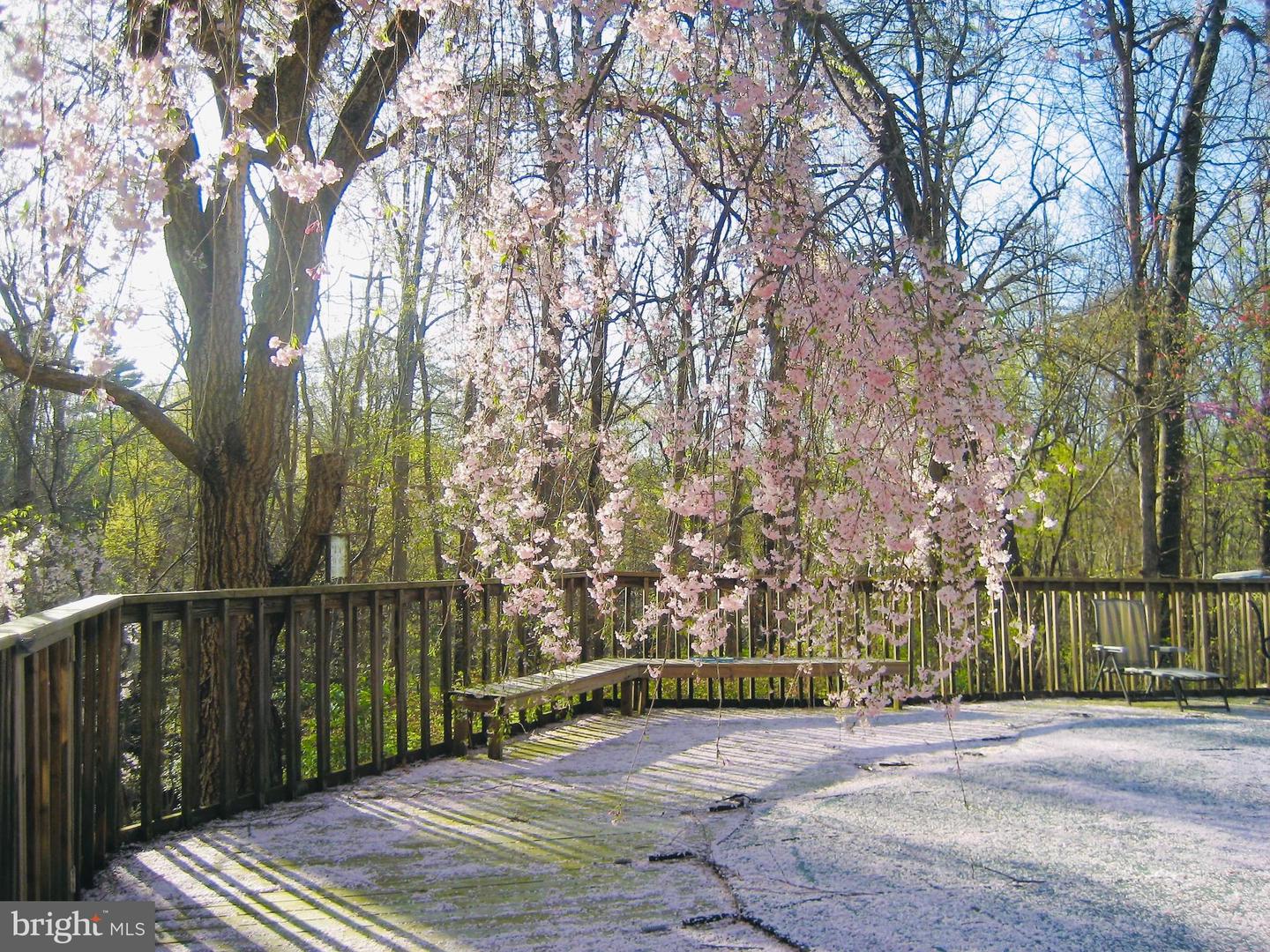 2201 NOBEHAR, VIENNA, Virginia 22181, 5 Bedrooms Bedrooms, ,3 BathroomsBathrooms,Residential,For sale,2201 NOBEHAR,VAFX2278508 MLS # VAFX2278508