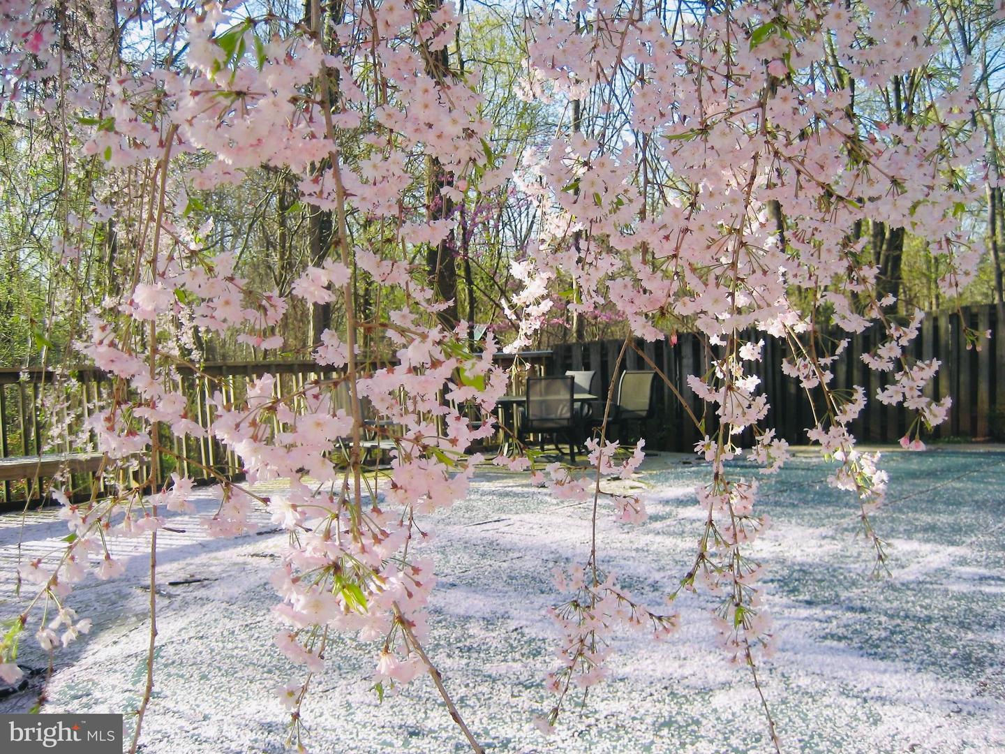 2201 NOBEHAR, VIENNA, Virginia 22181, 5 Bedrooms Bedrooms, ,3 BathroomsBathrooms,Residential,For sale,2201 NOBEHAR,VAFX2278508 MLS # VAFX2278508