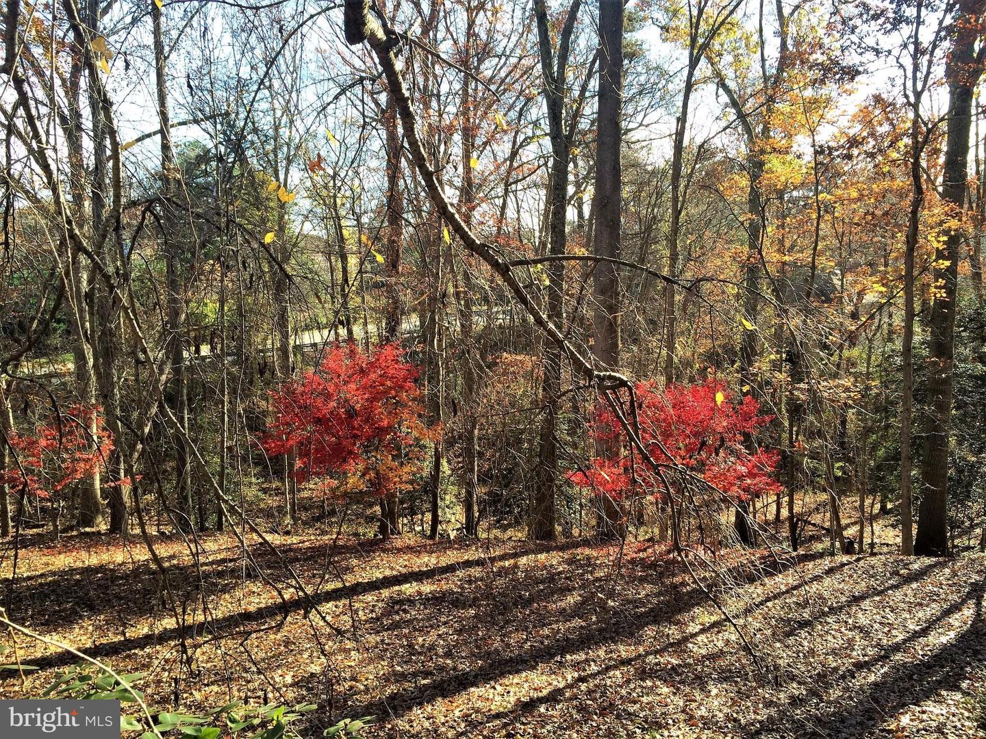 2201 NOBEHAR, VIENNA, Virginia 22181, 5 Bedrooms Bedrooms, ,3 BathroomsBathrooms,Residential,For sale,2201 NOBEHAR,VAFX2278508 MLS # VAFX2278508