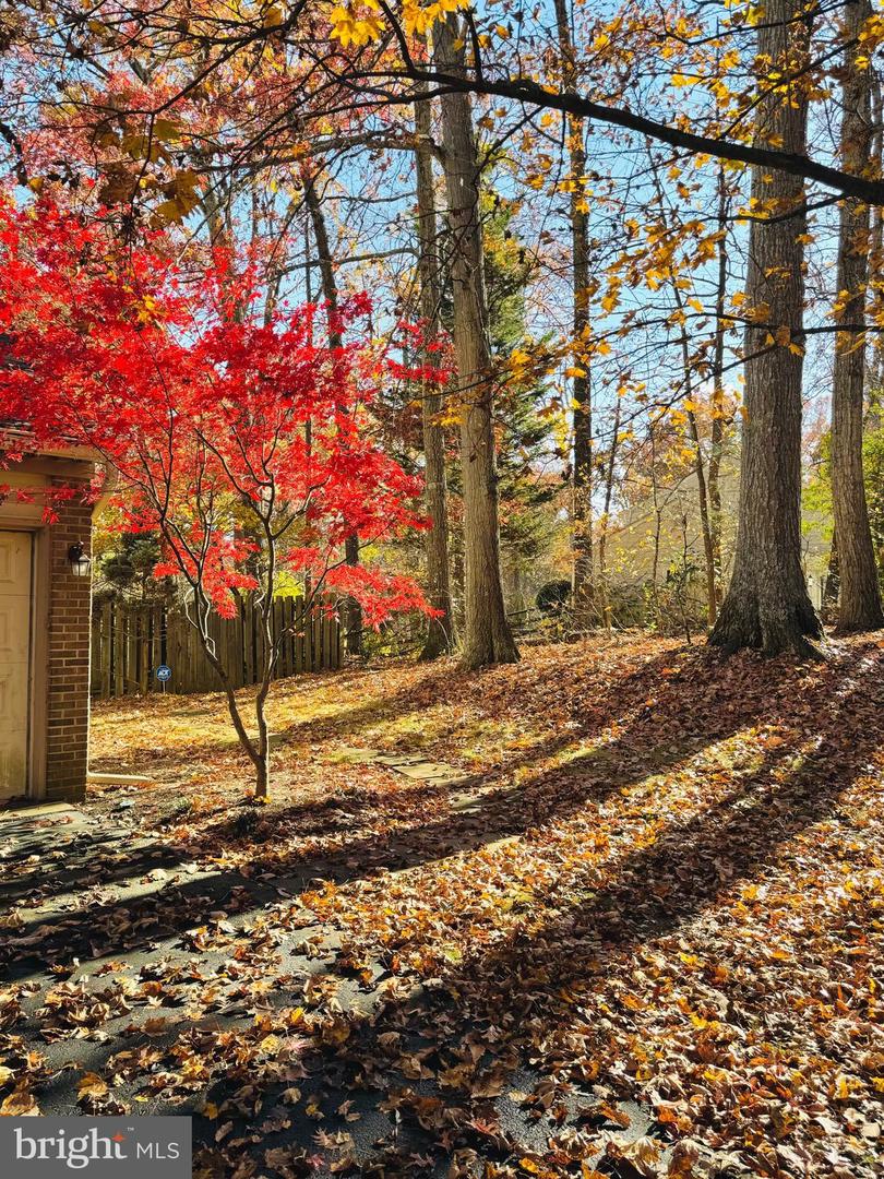 2201 NOBEHAR, VIENNA, Virginia 22181, 5 Bedrooms Bedrooms, ,3 BathroomsBathrooms,Residential,For sale,2201 NOBEHAR,VAFX2278508 MLS # VAFX2278508