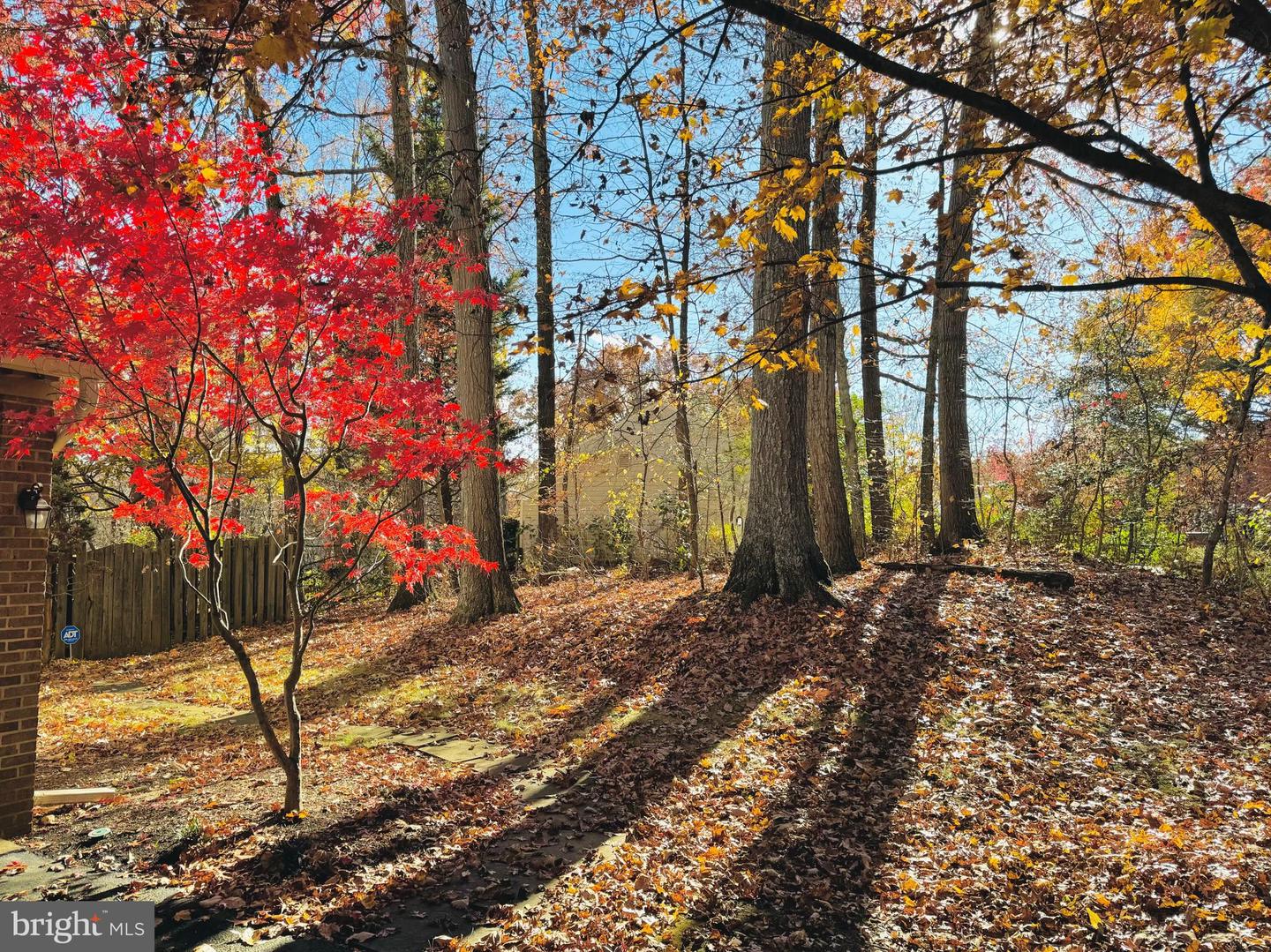 2201 NOBEHAR, VIENNA, Virginia 22181, 5 Bedrooms Bedrooms, ,3 BathroomsBathrooms,Residential,For sale,2201 NOBEHAR,VAFX2278508 MLS # VAFX2278508