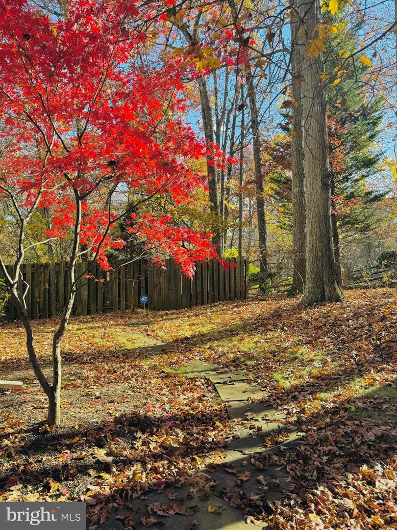 2201 NOBEHAR, VIENNA, Virginia 22181, 5 Bedrooms Bedrooms, ,3 BathroomsBathrooms,Residential,For sale,2201 NOBEHAR,VAFX2278508 MLS # VAFX2278508