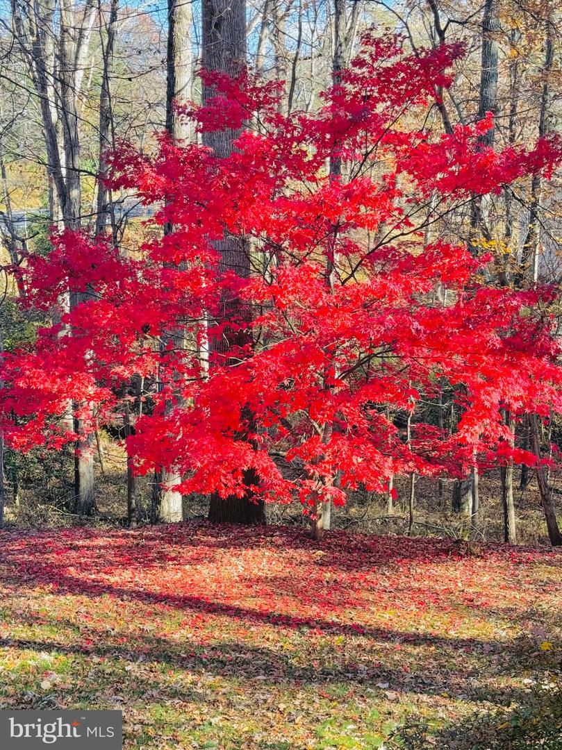 2201 NOBEHAR, VIENNA, Virginia 22181, 5 Bedrooms Bedrooms, ,3 BathroomsBathrooms,Residential,For sale,2201 NOBEHAR,VAFX2278508 MLS # VAFX2278508