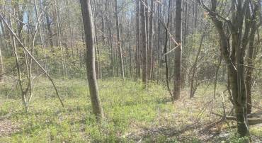 KING SOLOMON LN, ESMONT, Virginia 22937, ,Land,For sale,KING SOLOMON LN,662653 MLS # 662653