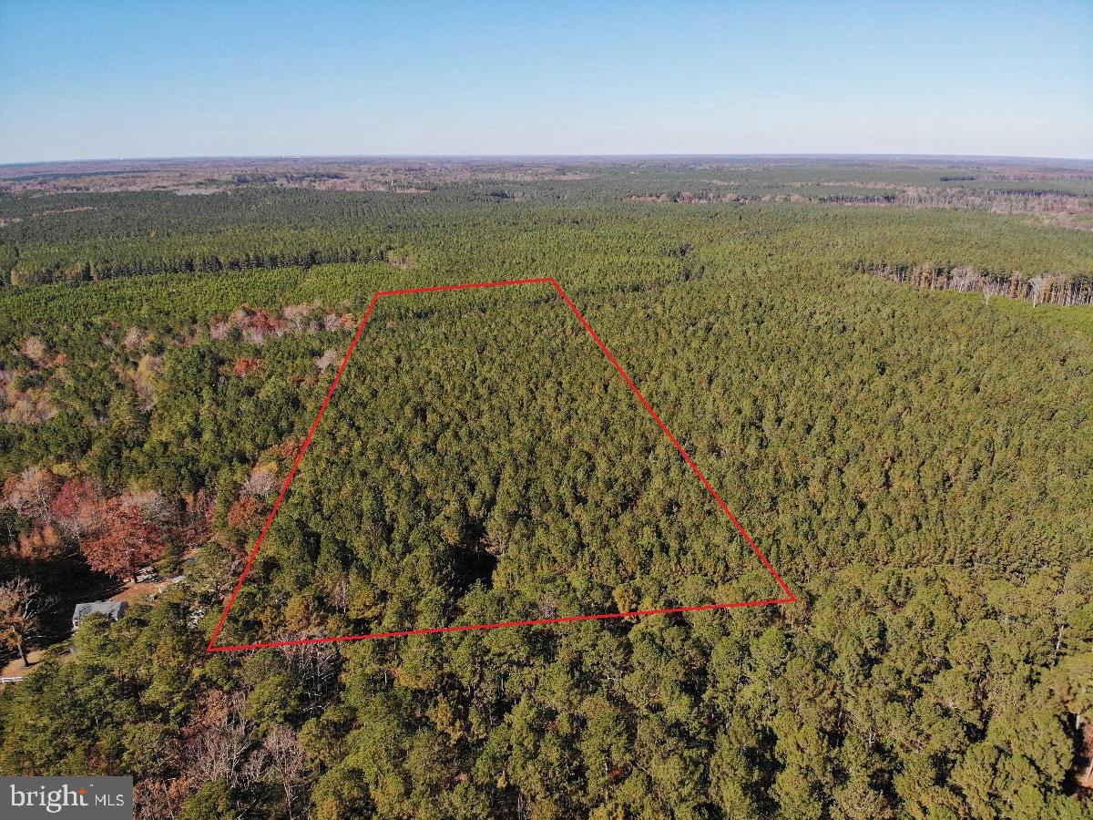 0 POLE RUN RD, DISPUTANTA, Virginia 23842, ,Land,For sale,0 POLE RUN RD,VAPV2000098 MLS # VAPV2000098