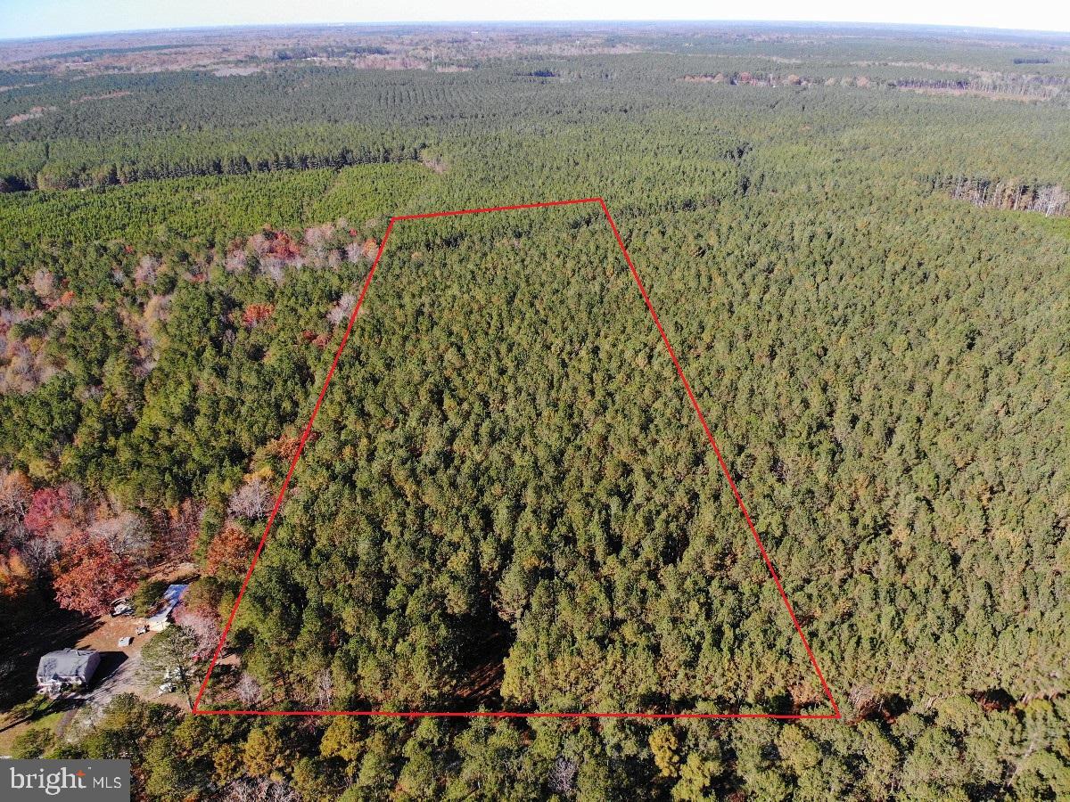 0 POLE RUN RD, DISPUTANTA, Virginia 23842, ,Land,For sale,0 POLE RUN RD,VAPV2000098 MLS # VAPV2000098