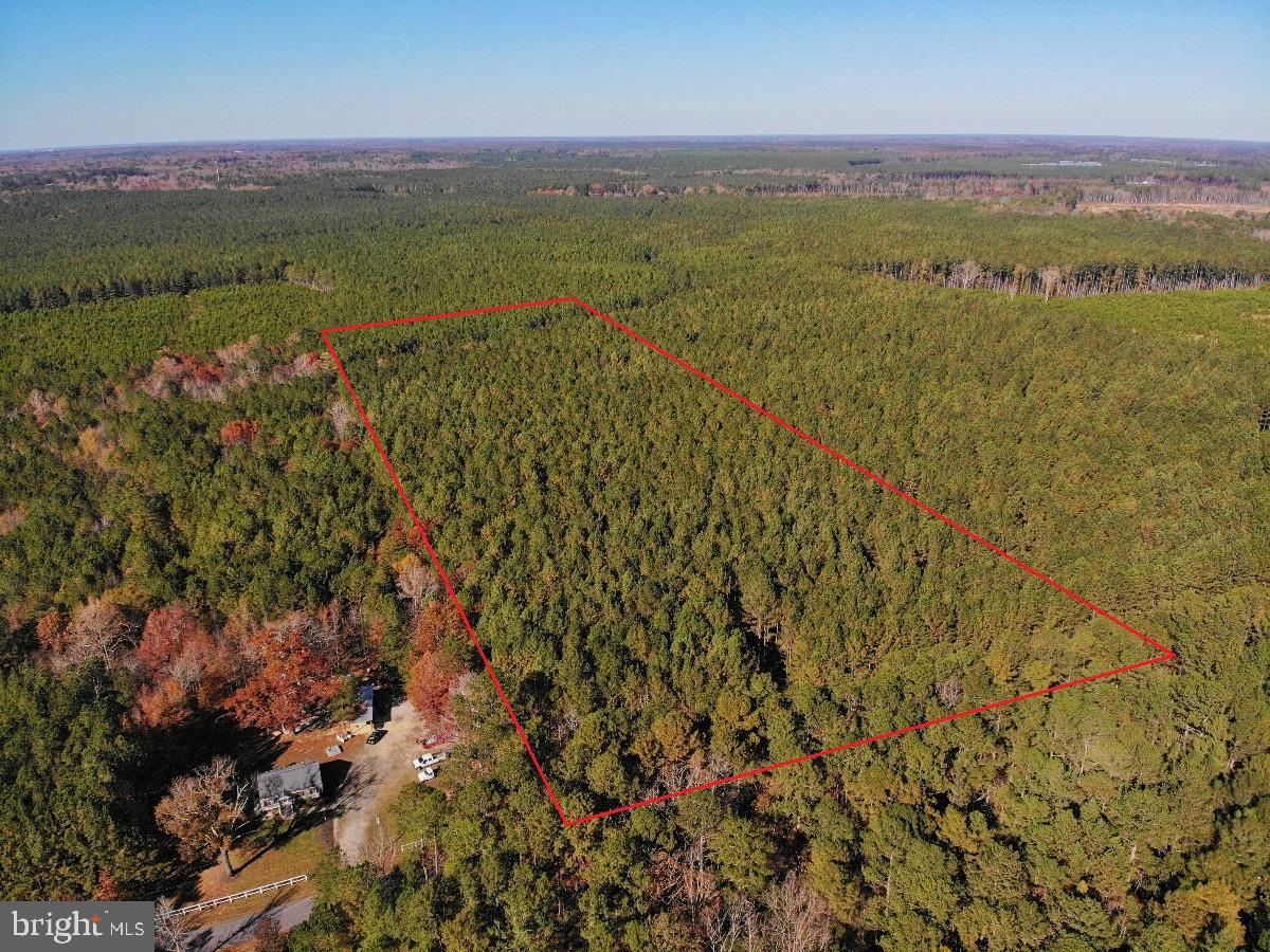 0 POLE RUN RD, DISPUTANTA, Virginia 23842, ,Land,For sale,0 POLE RUN RD,VAPV2000098 MLS # VAPV2000098