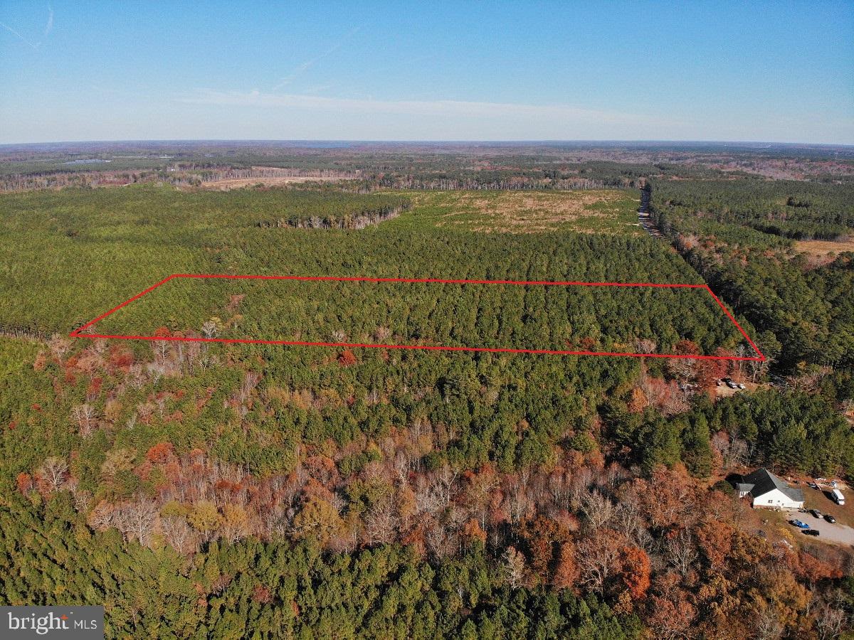 0 POLE RUN RD, DISPUTANTA, Virginia 23842, ,Land,For sale,0 POLE RUN RD,VAPV2000098 MLS # VAPV2000098