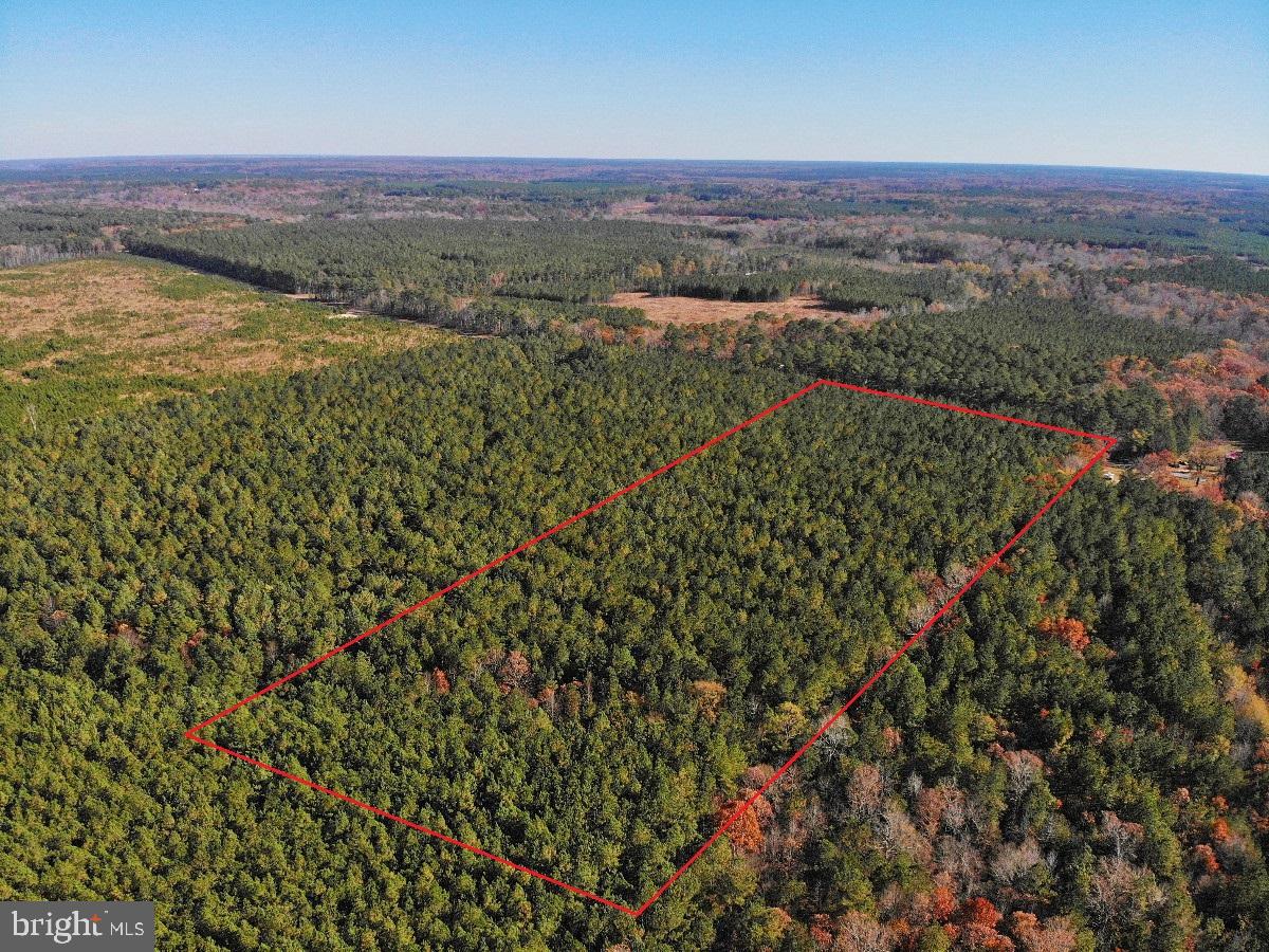 0 POLE RUN RD, DISPUTANTA, Virginia 23842, ,Land,For sale,0 POLE RUN RD,VAPV2000098 MLS # VAPV2000098