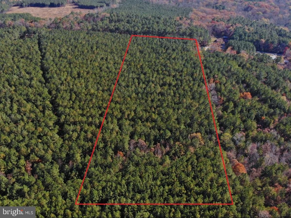 0 POLE RUN RD, DISPUTANTA, Virginia 23842, ,Land,For sale,0 POLE RUN RD,VAPV2000098 MLS # VAPV2000098