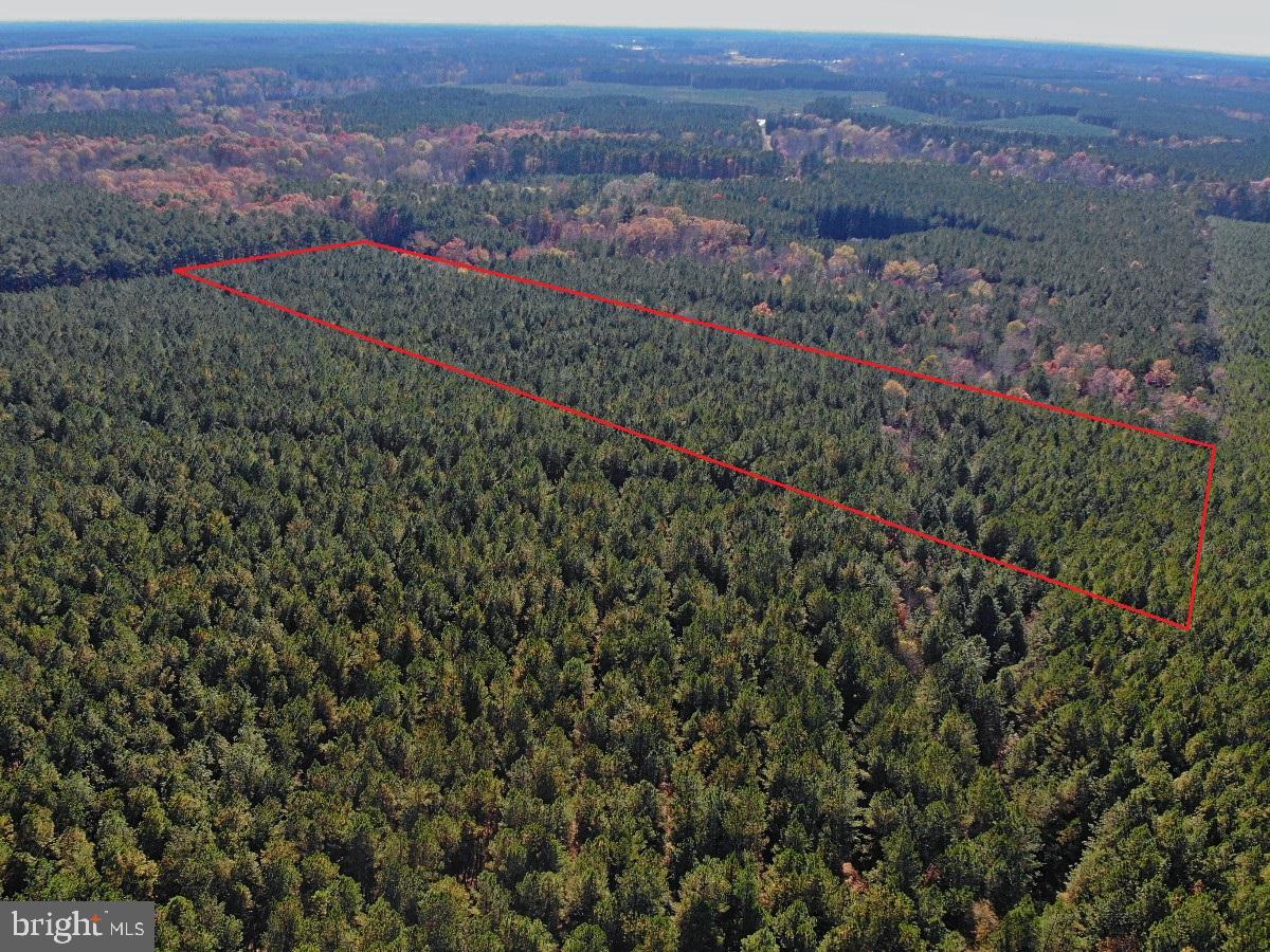 0 POLE RUN RD, DISPUTANTA, Virginia 23842, ,Land,For sale,0 POLE RUN RD,VAPV2000098 MLS # VAPV2000098